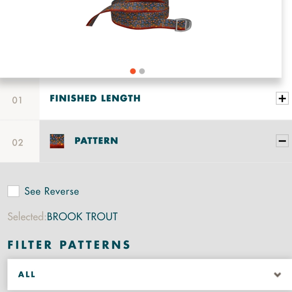Brook Trout Pattern Chaco Belt